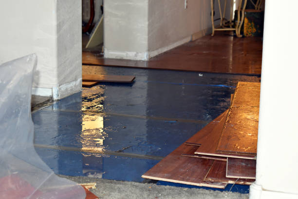 Professional Basement Flood Cleanup technician working in Irvine, CA